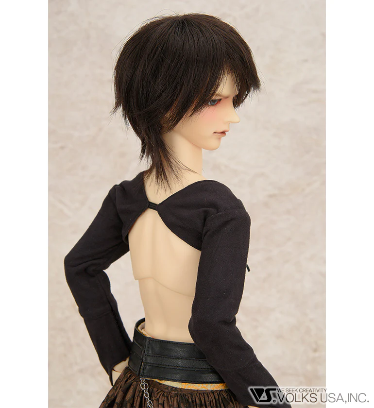 Black Tortoise of the North - Image 3